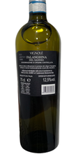 Lade das Bild in den Galerie-Viewer, Falanghina den Sannio - Vignolè